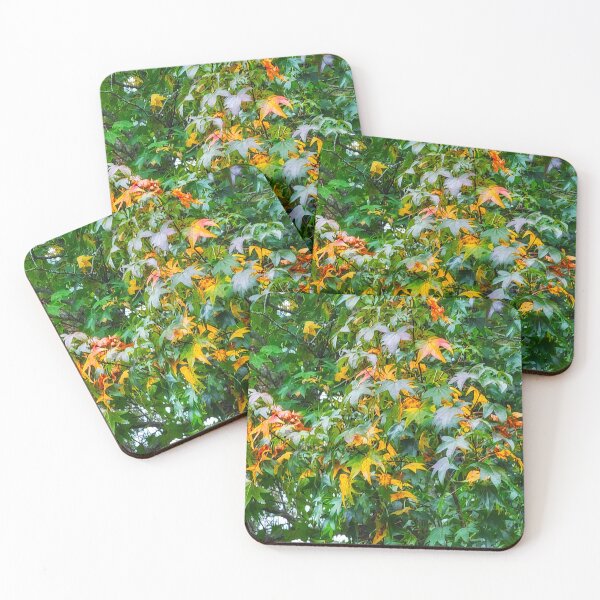 Item preview, Fall leaves designed and sold by Larrysphotos.