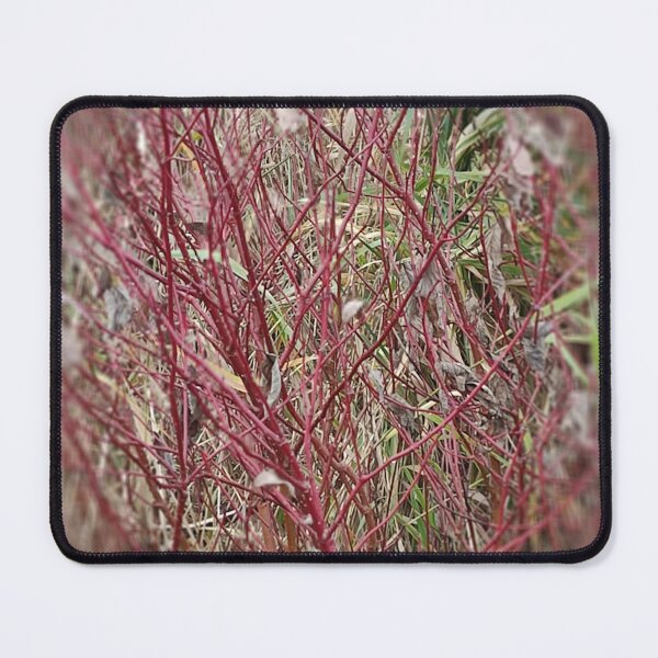 Item preview, Red grasses in focus designed and sold by Endo Designs - cause Love and Life matters.