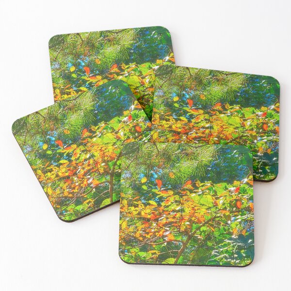 Item preview, Fall foliage designed and sold by Larrysphotos.
