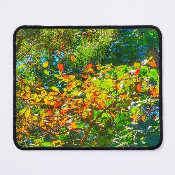 Item preview, Fall foliage designed and sold by Larrysphotos.