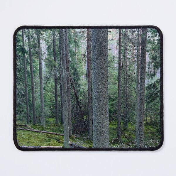 Item preview, Fog on the valley. Seitseminen designed and sold by Jouko Lehto Photography.