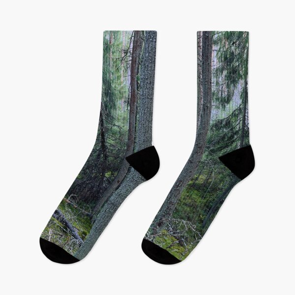 Item preview, Fog on the valley. Seitseminen designed and sold by Jouko Lehto Photography.