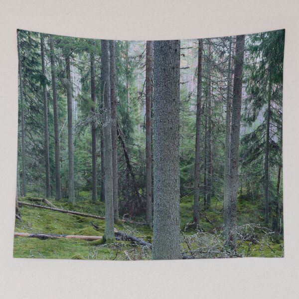 Item preview, Fog on the valley. Seitseminen designed and sold by Jouko Lehto Photography.
