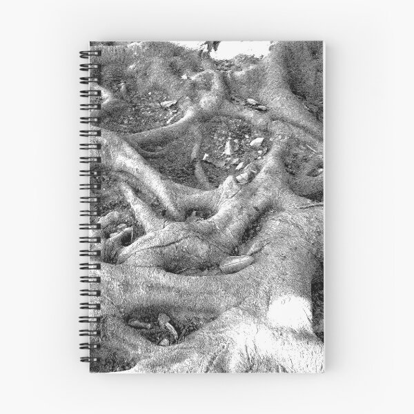 Item preview, Tree roots, Gibralfaro, Malaga, engraving effect designed and sold by paulboizot.