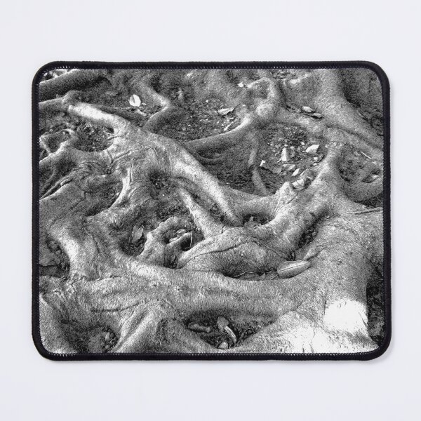 Item preview, Tree roots, Gibralfaro, Malaga, engraving effect designed and sold by paulboizot.