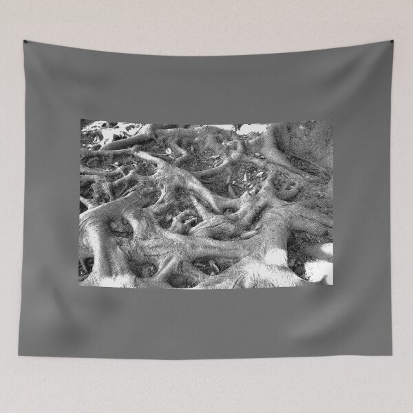 Item preview, Tree roots, Gibralfaro, Malaga, engraving effect designed and sold by paulboizot.