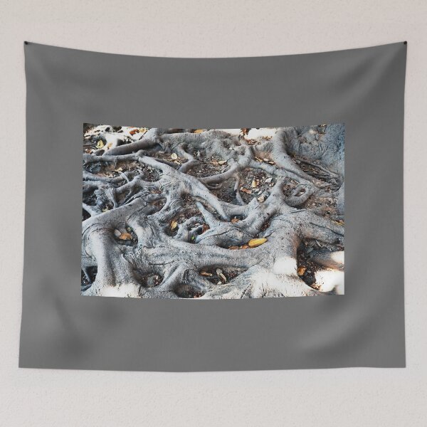 Item preview, Tree roots, Gibralfaro, Malaga designed and sold by paulboizot.