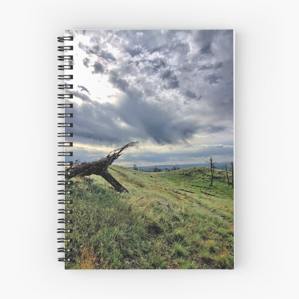 Item preview, Pine Ridge Trail designed and sold by LynyrdSky.