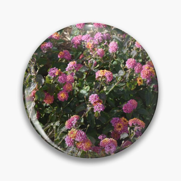 Item preview, Colorful Lantana designed and sold by MangoSeeds.