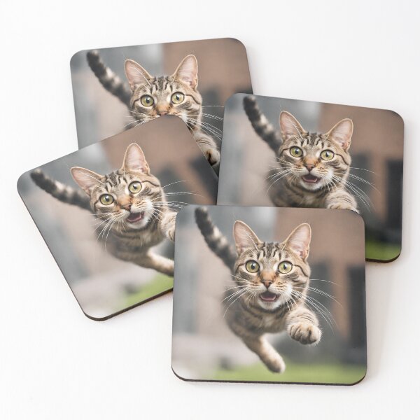 Item preview, Hilarious Cat Flight 7 designed and sold by Tom-Johnson.
