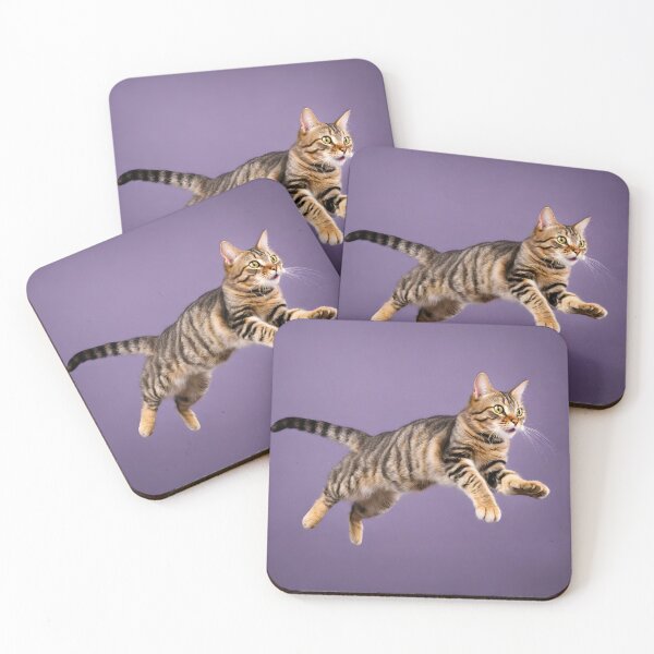 Item preview, Hilarious Cat Flight 8 designed and sold by Tom-Johnson.