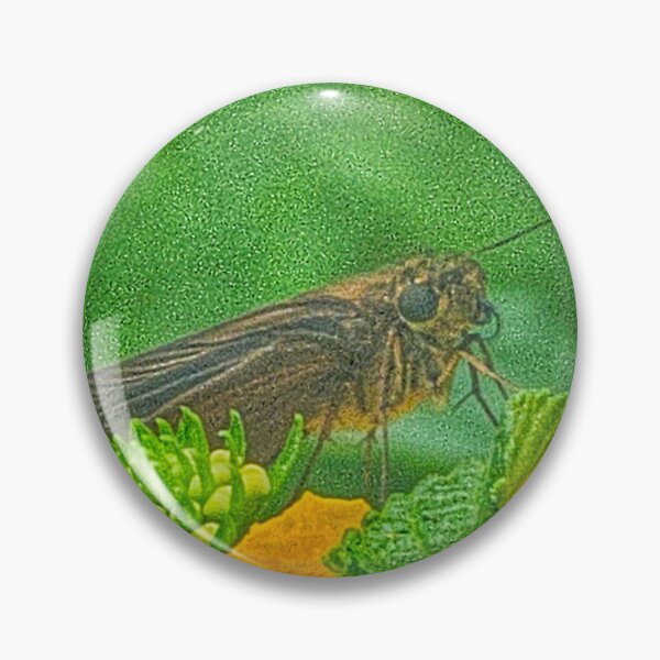 Item preview, Skipper designed and sold by Larrysphotos.