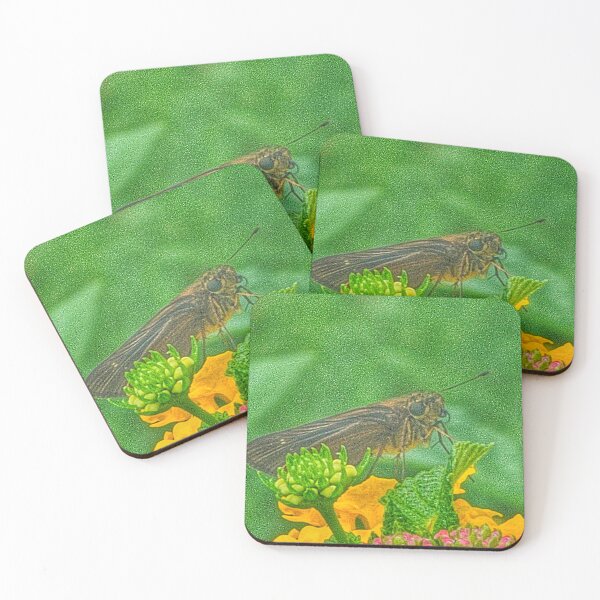 Item preview, Skipper designed and sold by Larrysphotos.