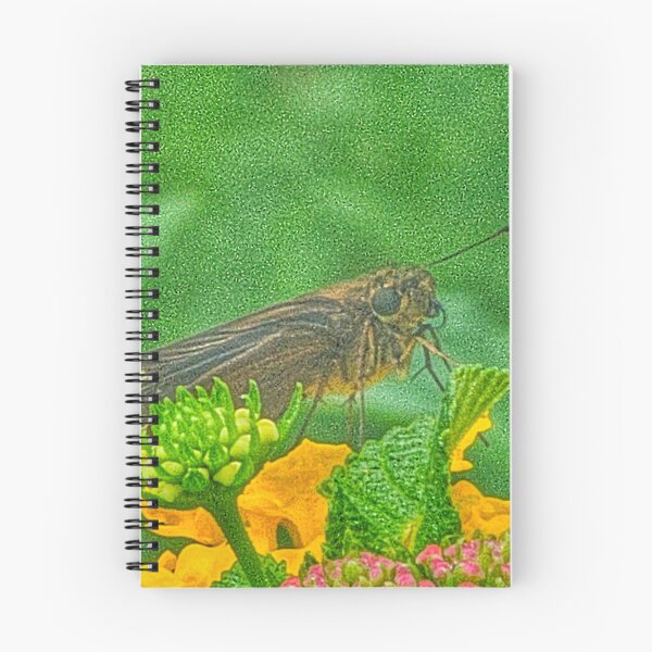 Item preview, Skipper designed and sold by Larrysphotos.