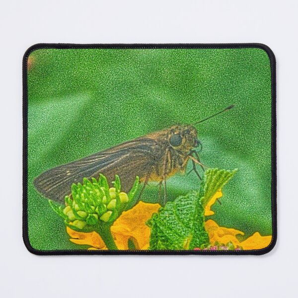 Item preview, Skipper designed and sold by Larrysphotos.