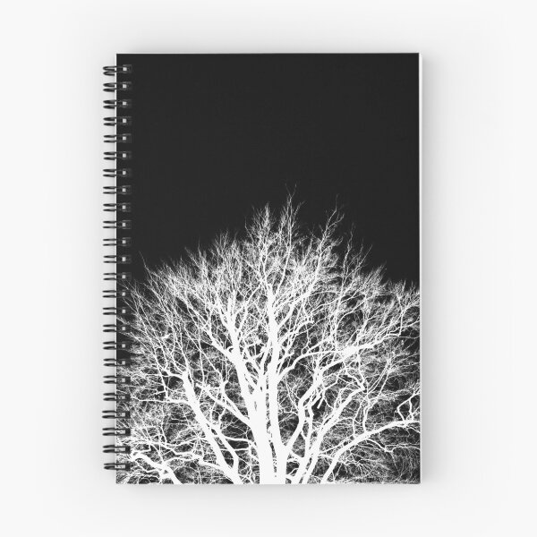 Item preview, Beech silhouette 2, monochrome inverted square designed and sold by paulboizot.