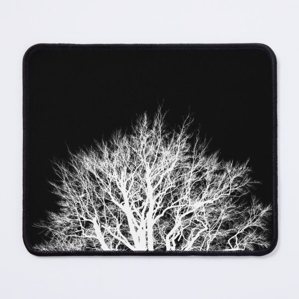 Item preview, Beech silhouette 2, monochrome inverted square designed and sold by paulboizot.