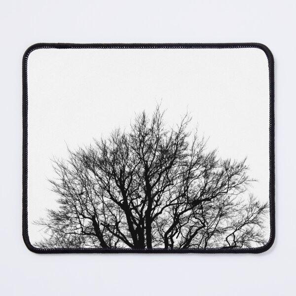 Item preview, Beech silhouette 2, monochrome square designed and sold by paulboizot.