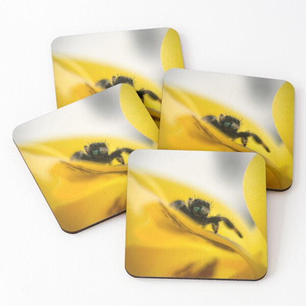 Item preview, Phidippus regius on yellow flower designed and sold by Kolmas-Paiva.