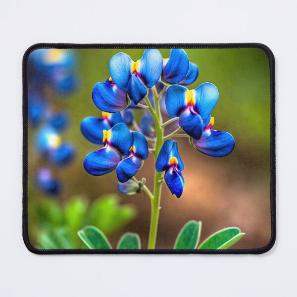 Item preview, Bluebonnet designed and sold by Savannah Gibbs.