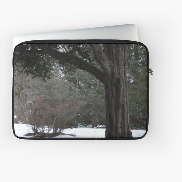 Wintery walk through the park Laptop Sleeve