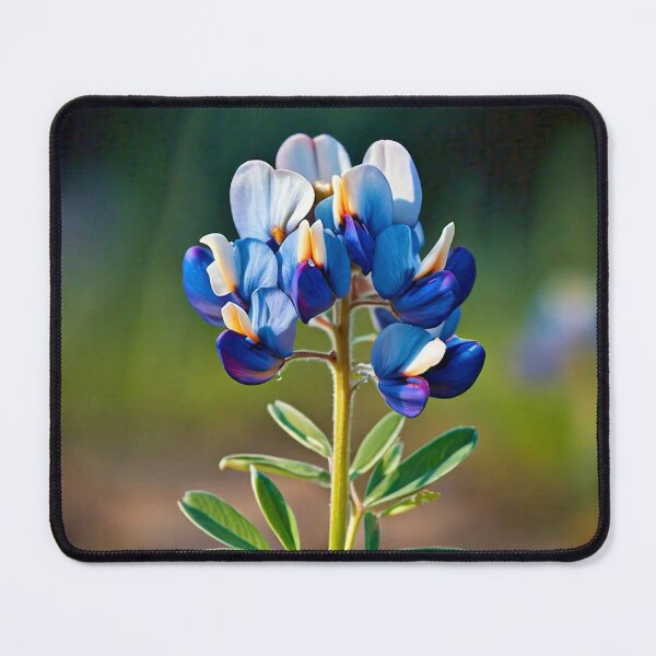 Item preview, Bluebonnet designed and sold by Savannah Gibbs.