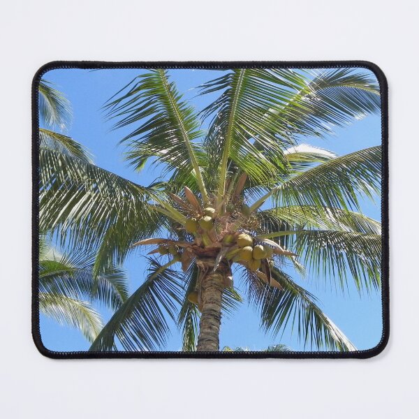 Item preview, Palm tree close up designed and sold by chamby479.