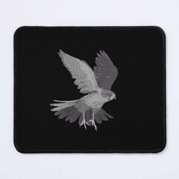 Item preview, Birds - Kārearea (NZ Falcon) designed and sold by Made By Nishi | Nishi Wojnar.