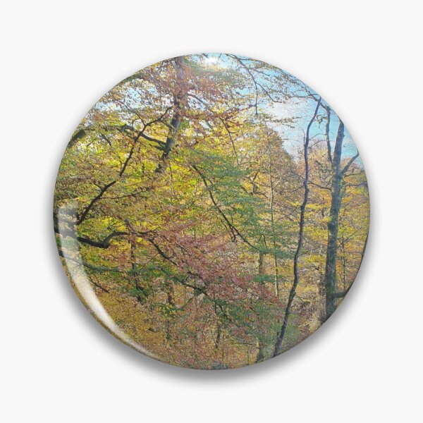 Item preview, Autumn trees landscape photograph designed and sold by esvb.