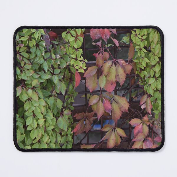 Item preview, Draping Foliage designed and sold by MangoSeeds.