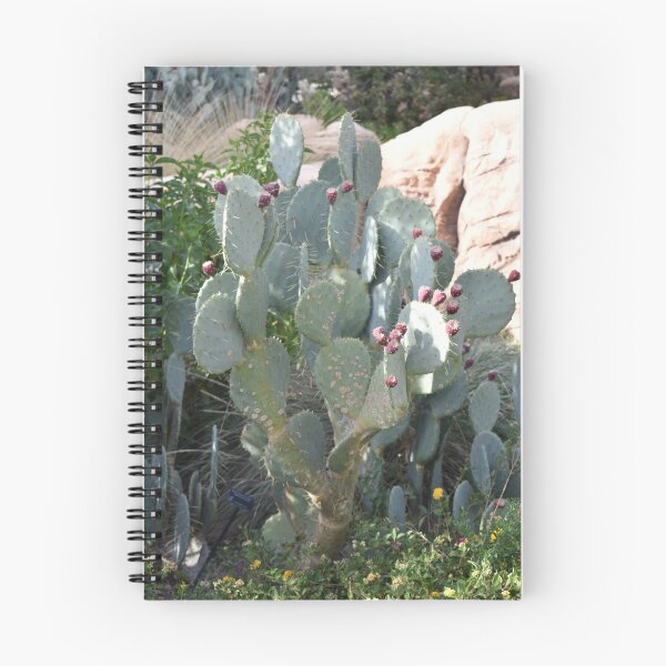 Item preview, Las Vegas Cactus designed and sold by MangoSeeds.