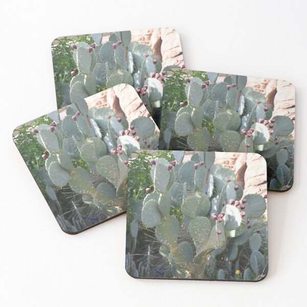 Item preview, Las Vegas Cactus designed and sold by MangoSeeds.
