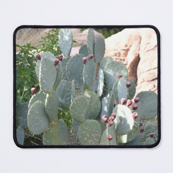 Item preview, Las Vegas Cactus designed and sold by MangoSeeds.