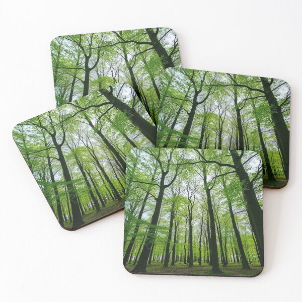 Item preview, Tranquil Spring Forest with River and Towering Beech Trees designed and sold by hjian8219.