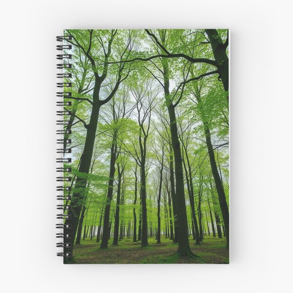 Item preview, Tranquil Spring Forest with River and Towering Beech Trees designed and sold by hjian8219.