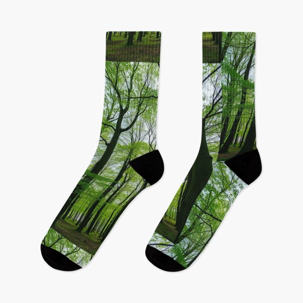 Item preview, Tranquil Spring Forest with River and Towering Beech Trees designed and sold by hjian8219.