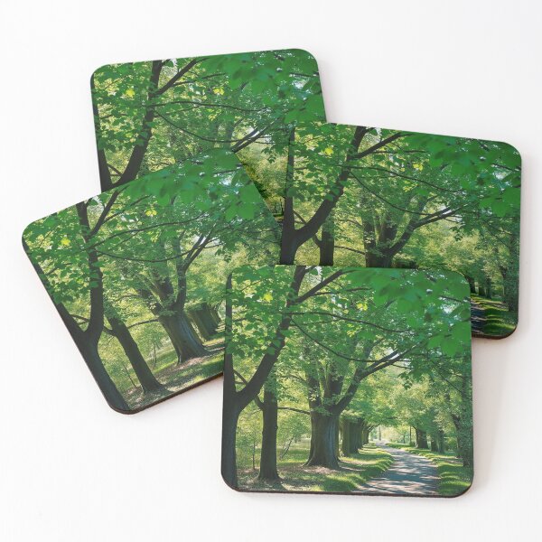 Item preview, Tranquil Spring Forest with River and Towering Beech Trees designed and sold by hjian8219.