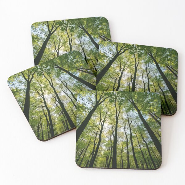 Item preview, Tranquil Spring Forest with River and Towering Beech Trees designed and sold by hjian8219.