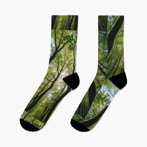 Item preview, Tranquil Spring Forest with River and Towering Beech Trees designed and sold by hjian8219.