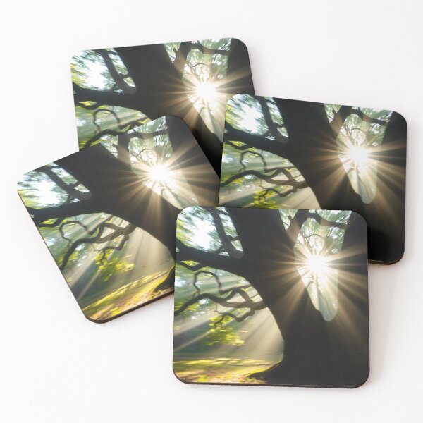 Item preview, Tranquil Spring Forest with River and Towering Beech Trees designed and sold by hjian8219.