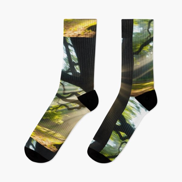 Item preview, Tranquil Spring Forest with River and Towering Beech Trees designed and sold by hjian8219.