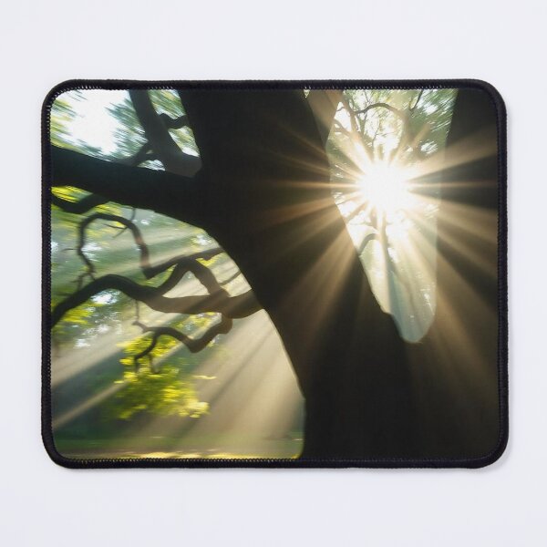 Item preview, Tranquil Spring Forest with River and Towering Beech Trees designed and sold by hjian8219.
