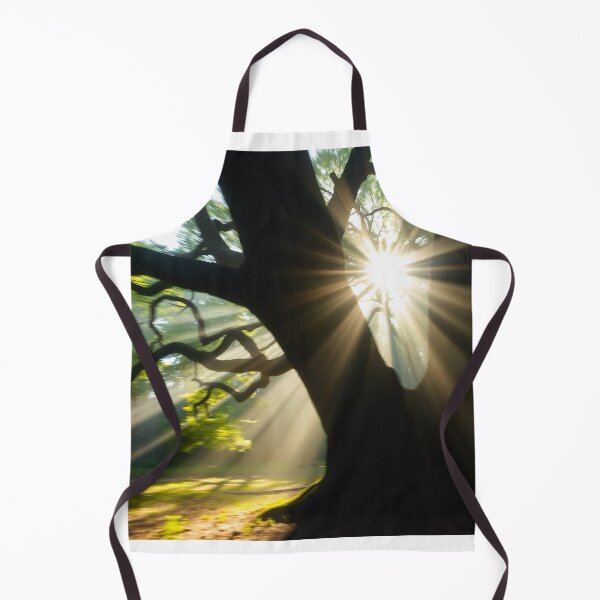 Item preview, Tranquil Spring Forest with River and Towering Beech Trees designed and sold by hjian8219.