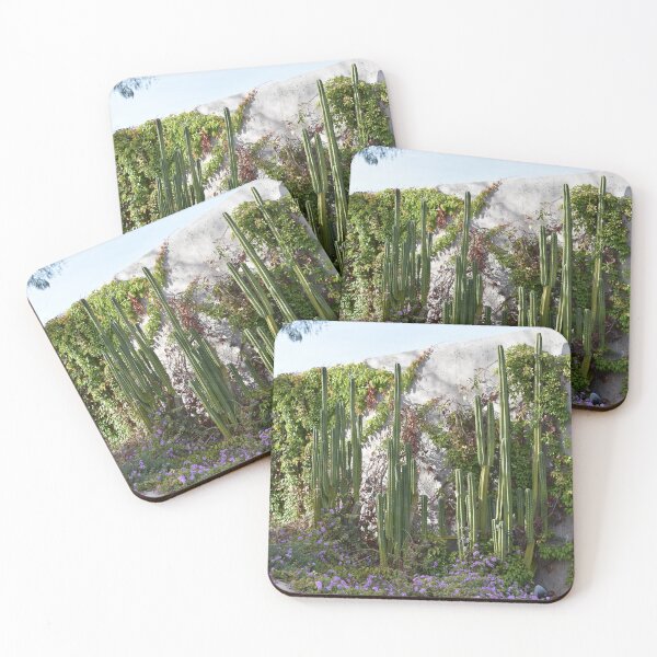 Item preview, Las Vegas Cacti designed and sold by MangoSeeds.