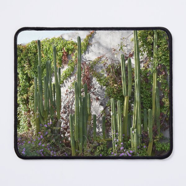 Item preview, Las Vegas Cacti designed and sold by MangoSeeds.