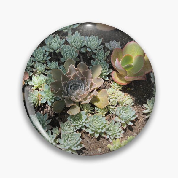 Item preview, succulents designed and sold by bounassik.