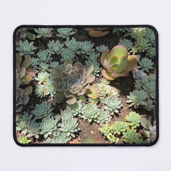 Item preview, succulents designed and sold by bounassik.
