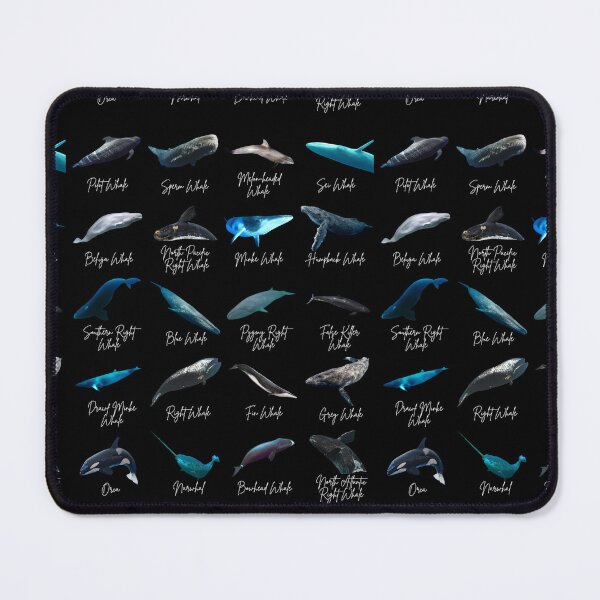 Item preview, Whale Identification designed and sold by Marine Wonders.