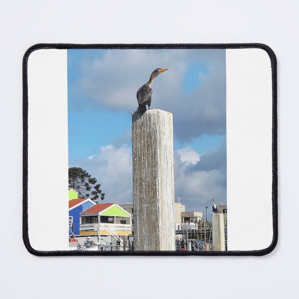Item preview, Double Breasted Cormorant designed and sold by The Walking Path Gallery.
