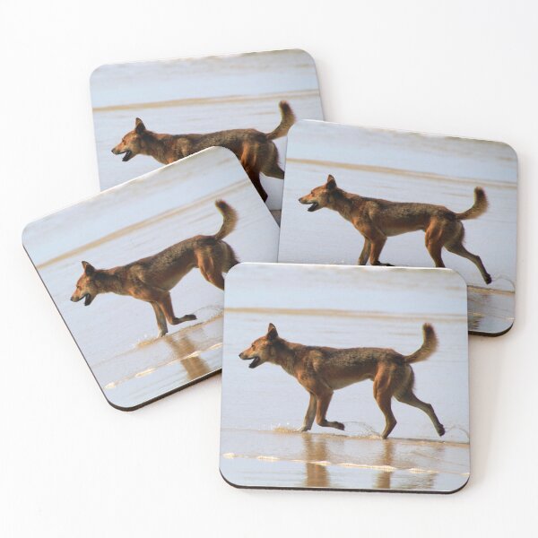 Item preview, Dingo walking in the surf on 75 Mile Beach Fraser Island (K'Gari) designed and sold by BirdsAlive.